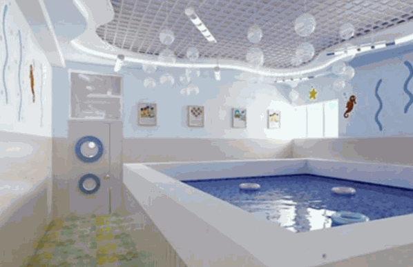 泡泡鱼亲子游泳馆